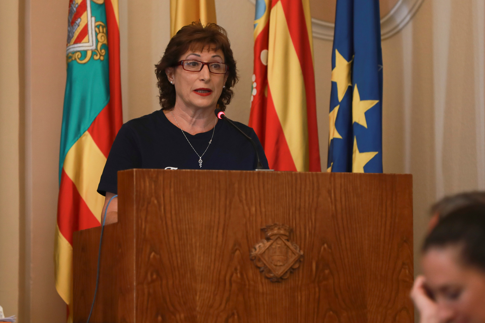 “Begoña Carrasco ningunea a las asociaciones ciudadanas de Castelló al limitar las ayudas