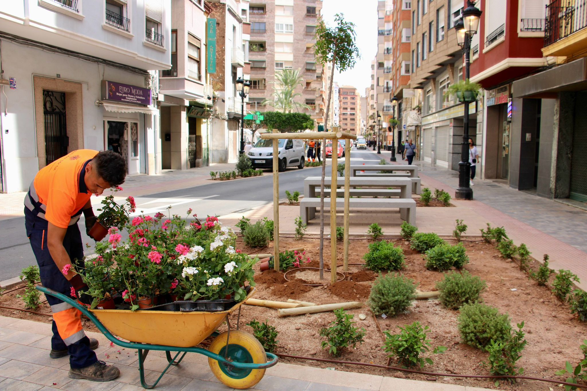 Con la instalación del riego por goteo esta semana la calle Trinidad de la Zona de Bajas Emisiones estará concluida