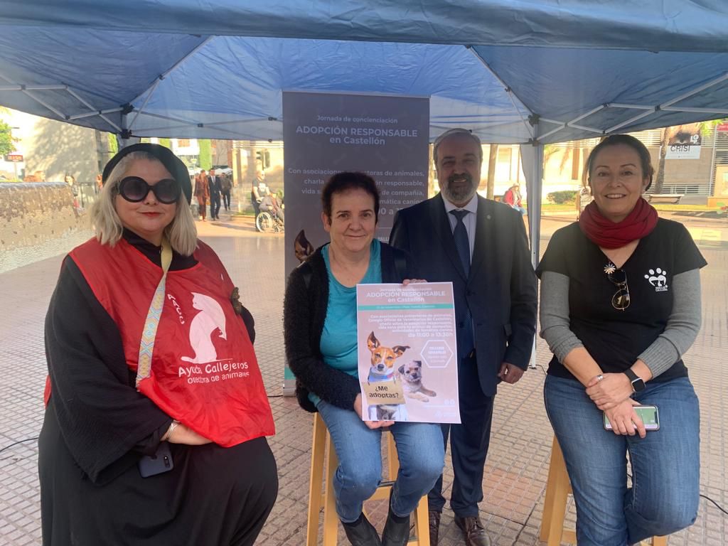 Castellón celebra la I Jornada de Adopción Responsable de Mascotas